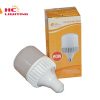 ĐÈN BULB TRỤ NHÔM ĐÚC MẪU 01 20W BN01-20