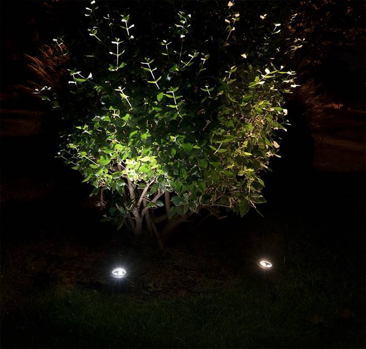 Những ý tưởng độc đáo trang trí ngoài trời bằng đèn LED